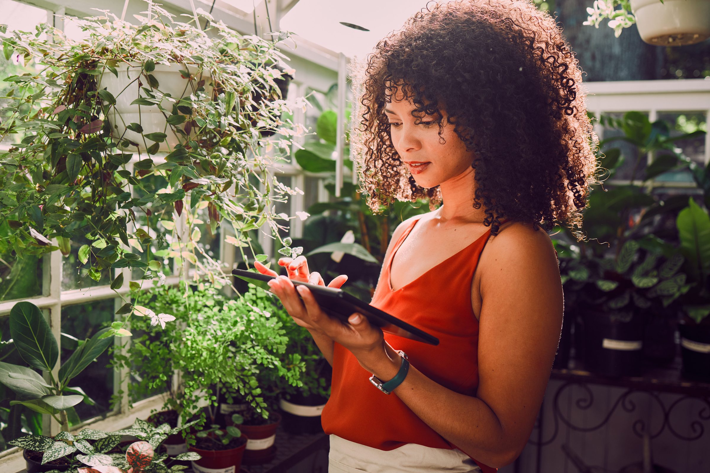 Plant shop owner reviewing her Amazon account performance on a tablet